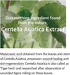 MIXSOON Soondy Centella Asiatica EssenceEssenceGlam Secret