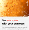 Isntree Real Rose Calming Mask 100mlGlam Secret