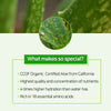 Nature Republic Aloe 92% Vera Soothing Gel 300mlGlam Secret